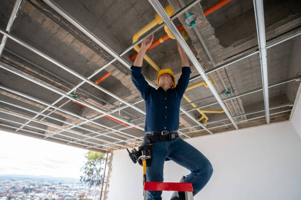 Best Affordable Plumbing Services  in Royalton, IL