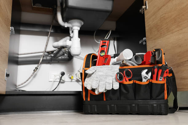 Best Plumbing Installation Services  in Royalton, IL
