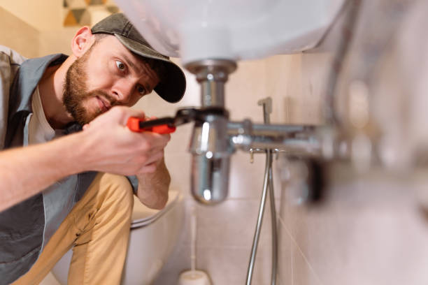 Best Drain Cleaning Services  in Royalton, IL