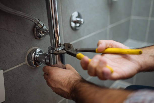 Best Same-Day Plumbing Service  in Royalton, IL