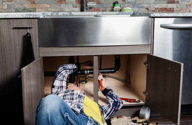 Best Same-Day Plumbing Service  in Royalton, IL