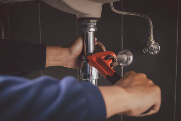 Best Commercial Plumbing Services  in Royalton, IL